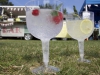 Promonthefarm_18_ginglasse3