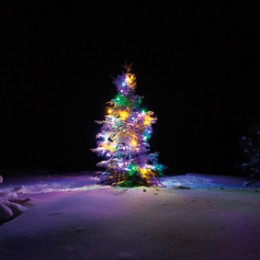 Light Up A Life
